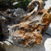SouthernSierra 018 : SouthernSierra
